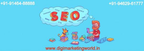 seo service in sriganganagar